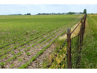 Property photo 128 - LAND AUCTION - 700+/- ACRES OFFERED IN 16 TRACTS IN ALLEN COUNTY, INDIANA